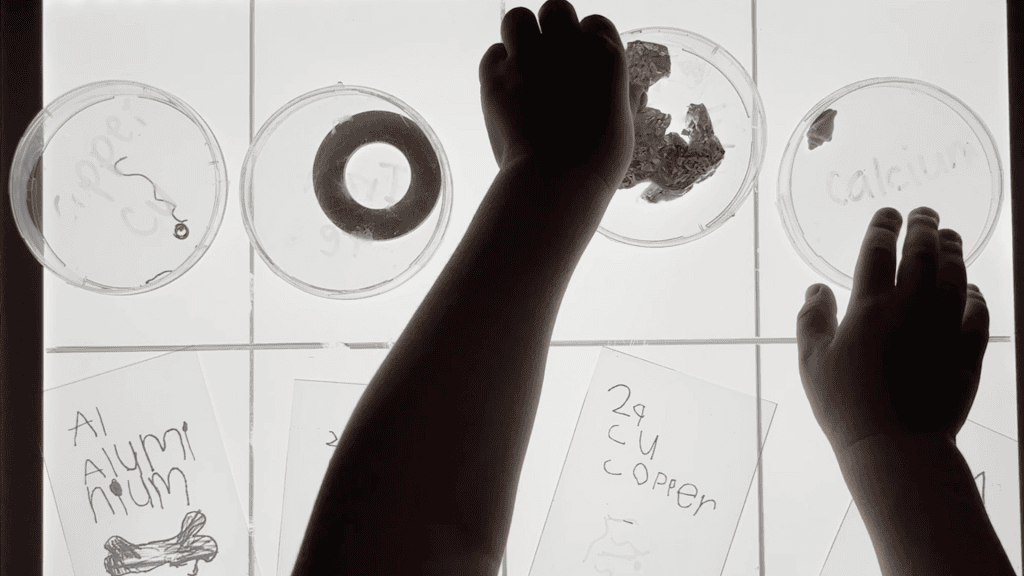 Simple Ways to Spark Your Child’s Curiosity at Home