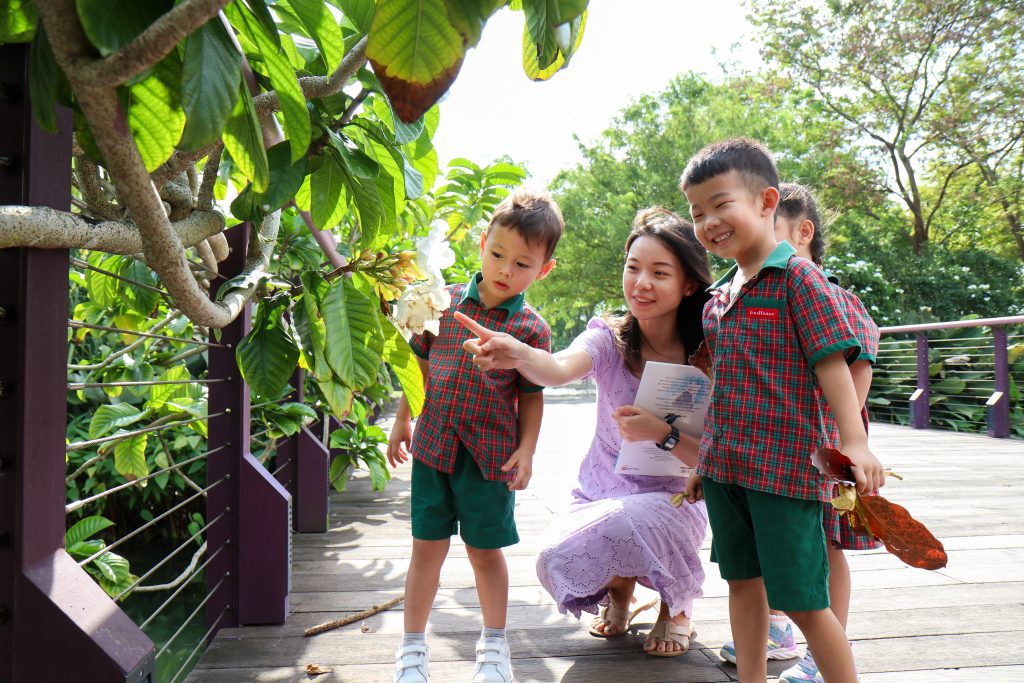 How Does Outdoor Learning Empower Minds Beyond the Classroom?