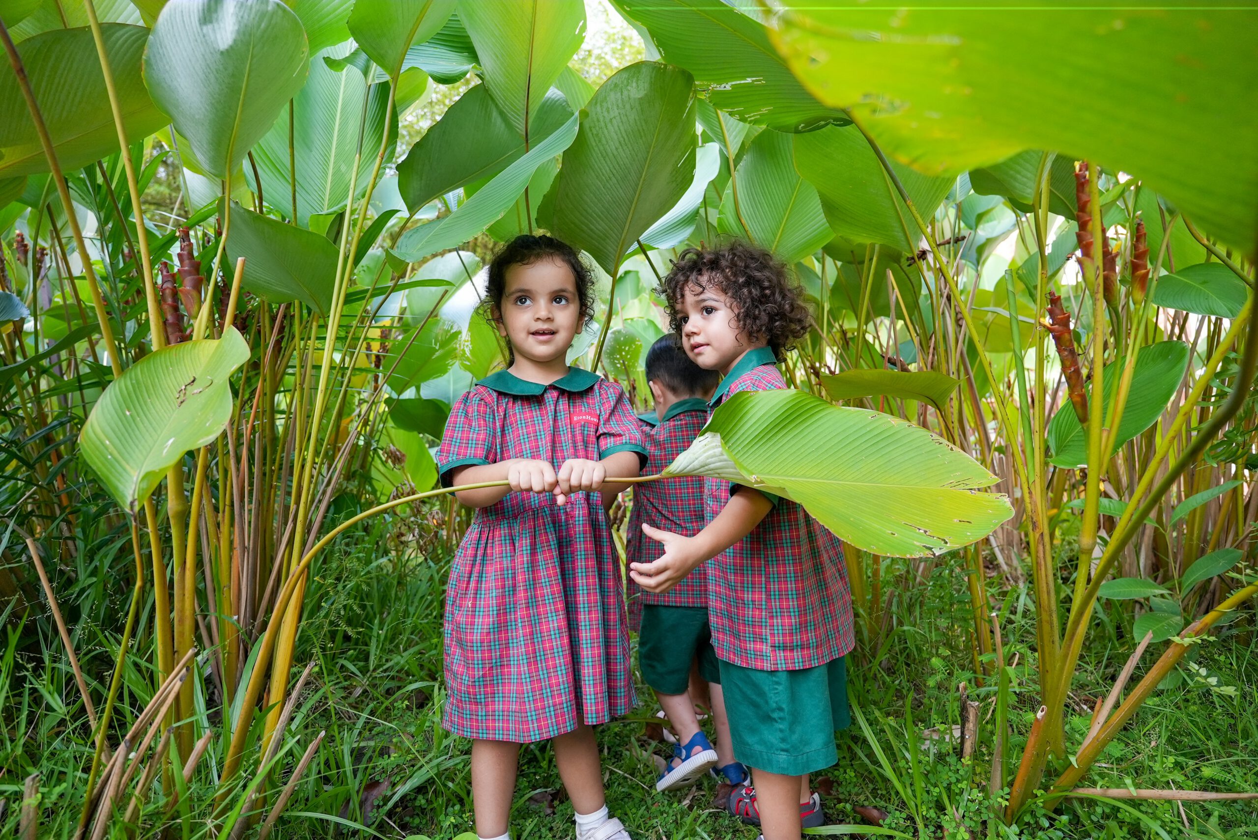 LEARNING IN NATURE