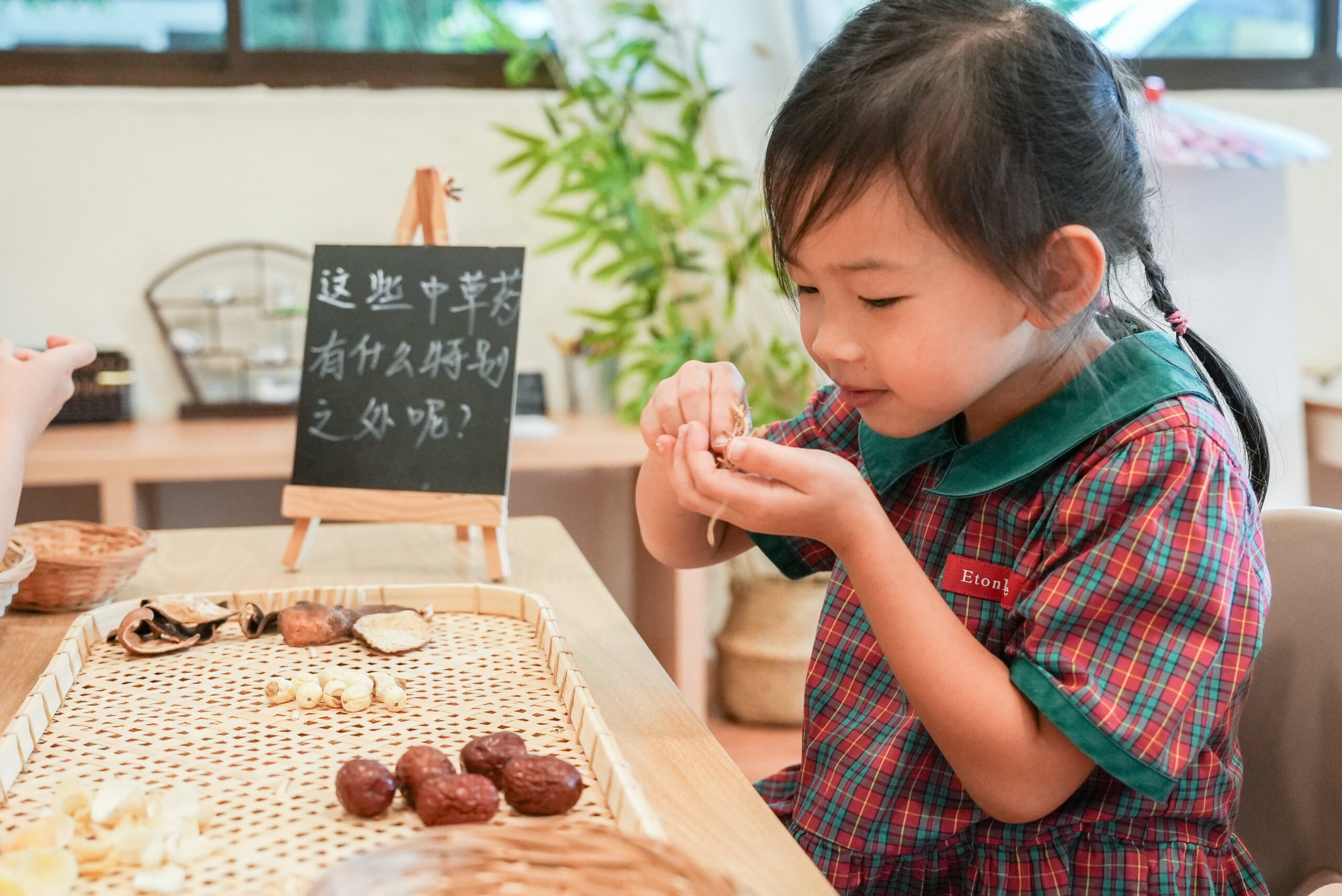 A WELL-ROUNDED CURRICULUM