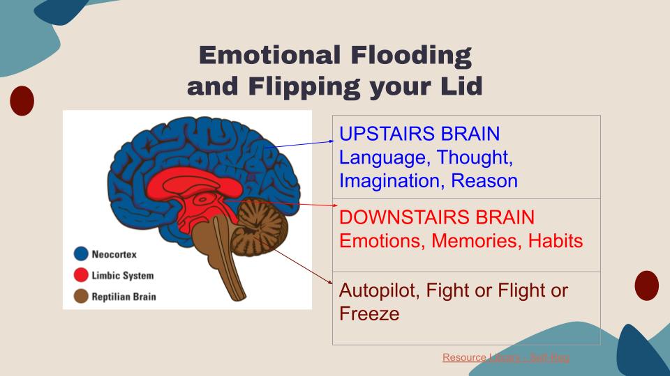 Learn why your child can't understand threats or logic when they are emotional